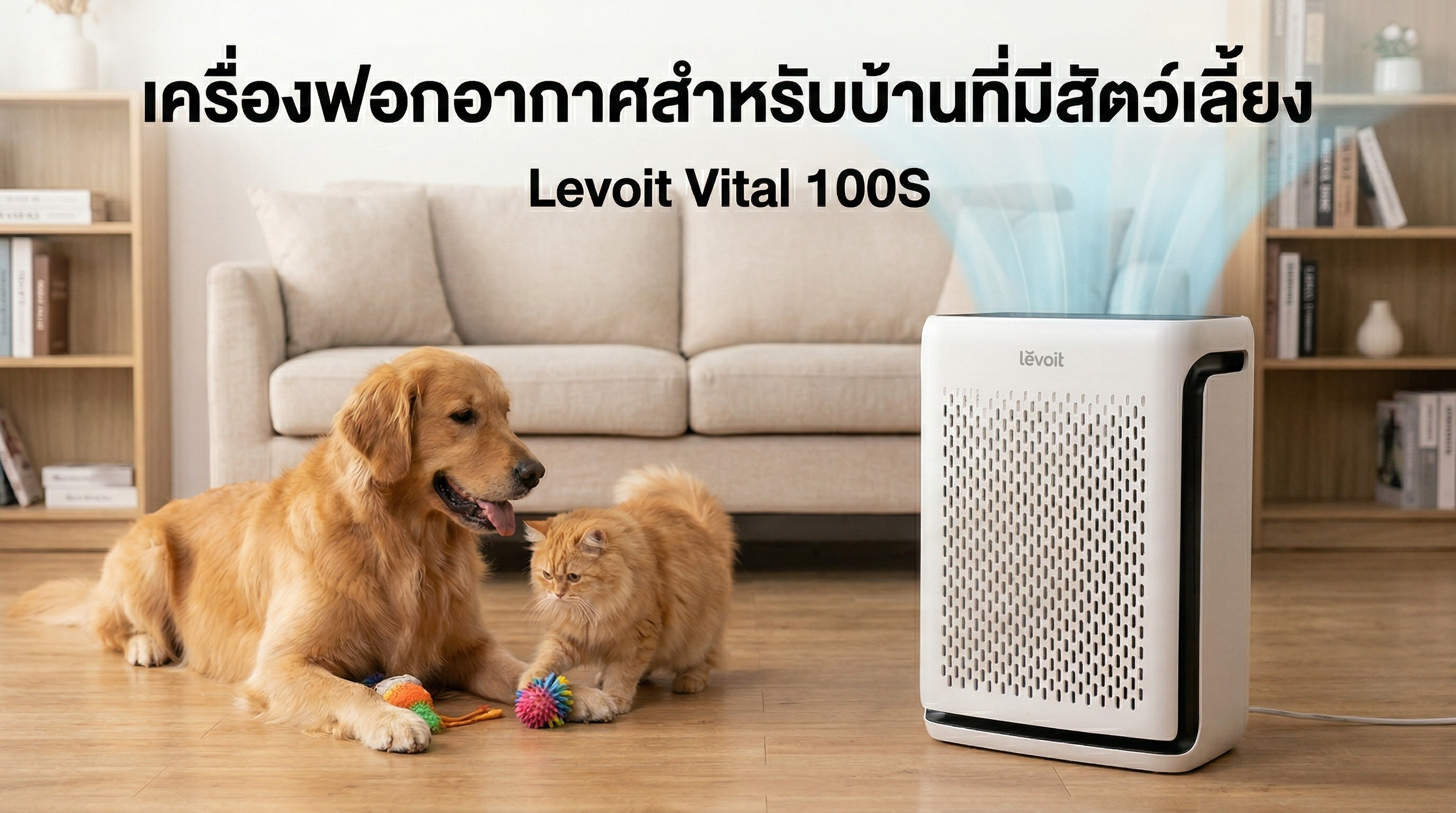 เครื่องฟอกอากาศสำหรับบ้านที่มีสัตว์เลี้ยง เลือกอย่างไรให้เหมาะกับขนสัตว์และสารก่อภูมิแพ้